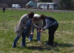 Actions “Clean Environment” and “Plant a Tree”
